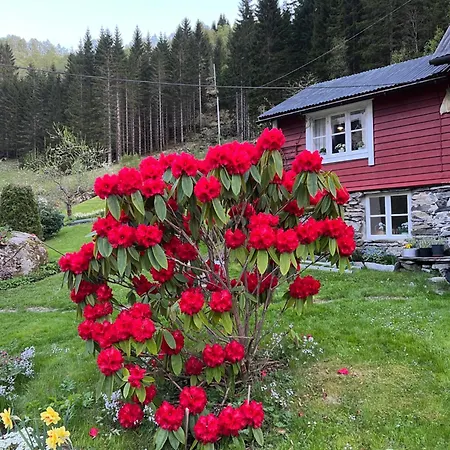 Koselig Feriehus, Birkedaltunet Holiday home Aheim